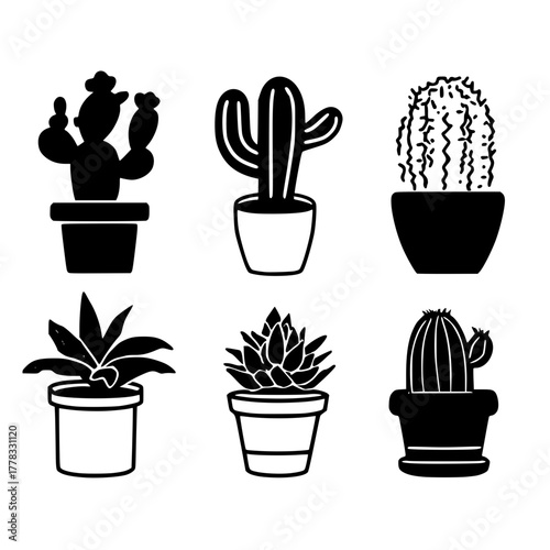 Symmetrical Ornate Geometric Emblem Dark Background