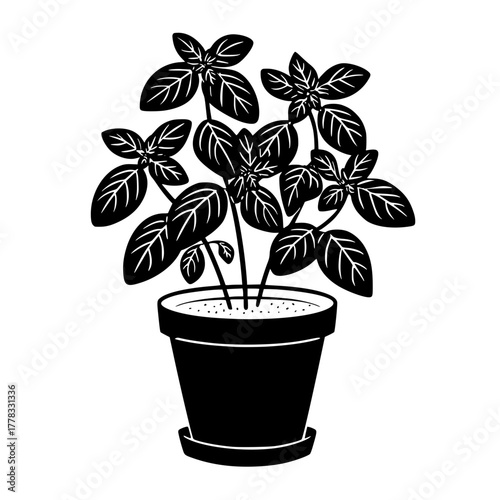 Minimalist Black and White Lion Face Illustration