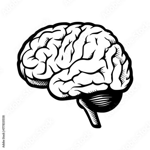 Symmetrical Abstract Black Line Pattern Against Dark