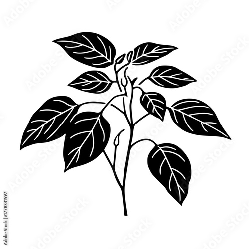 Person Walking Amid Bare Trees