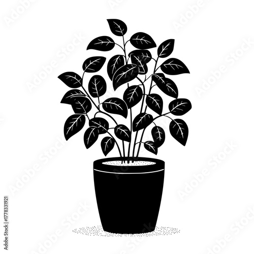 Intricate Blackandwhite Symmetrical Butterfly Emblem Design