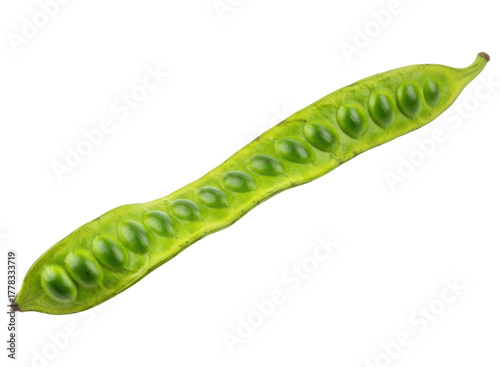 Fresh green petai bean pod, also known as bitter bean or stink bean, with seeds visible