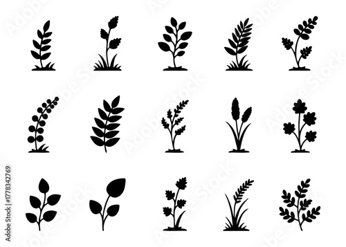 Set of Fifteen Black Minimalist Wild Grass and Botanical Plant Silhouettes Collection