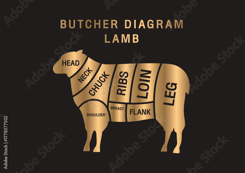 Meat diagram. Cuts of meat. Lamb silhouette isolated gold color on black background. Vintage poster for butcher shop, restaurant menu. Vector illustration