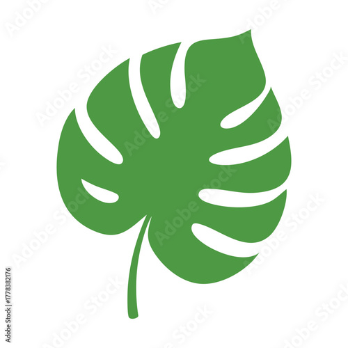 Verdant Monstera Tropical Leaf Art