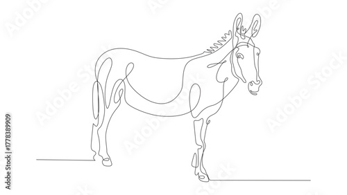 Continuous one-line drawing of a donkey in modern minimalistic style, mono-line vector illustration