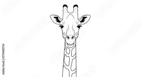 A detailed black and white line drawing captures the head and upper neck of a giraffe, presented frontally for a minimalist and engaging visual.