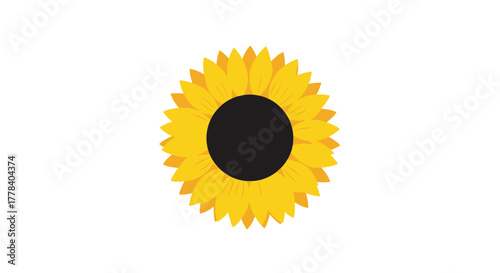 A vibrant and simple illustration of a sunflower with bright yellow petals and a dark center against a clean white background.