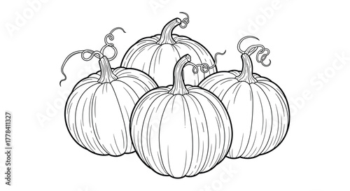A detailed black and white illustration depicts a group of four ripe pumpkins with intricate stems and tendrils, ready for autumn harvest or festive decoration.