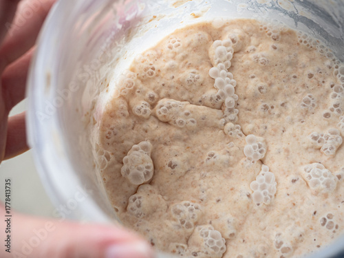 bubbles on sourdough bread starter