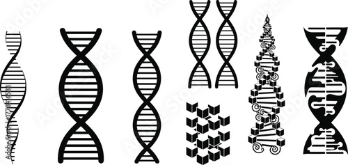 Stylized DNA double helix silhouettes, vector illustration of genetic structures in abstract and artistic designs for science and education themes