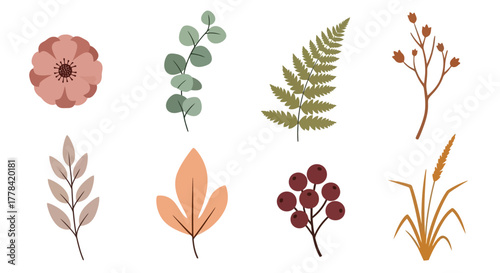 Collection of illustrated botanical elements including flowers leaves and grasses