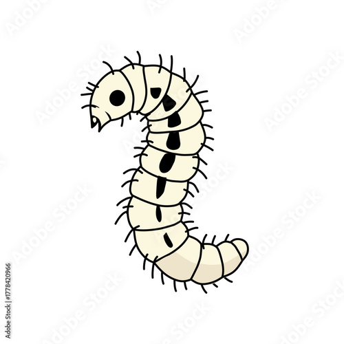 Vector illustration of flea larva isolated on white background. Educational biology drawing showing the larval stage of flea life cycle with detailed body texture