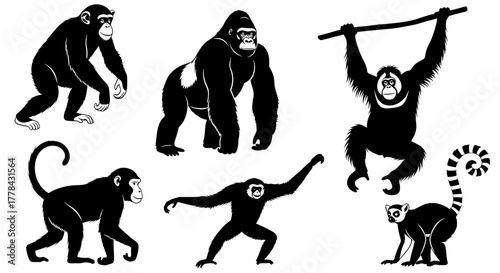 Diverse primate collection showcasing gorillas, chimpanzees, orangutans, and lemurs in dynamic poses, perfect for educational or wildlife themes.