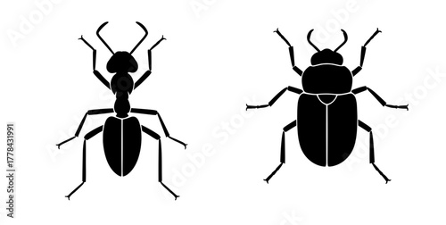 Detailed ant and beetle silhouettes, perfect for biology education, nature guides, or eco-friendly designs showing insect diversity originally a vector graphic