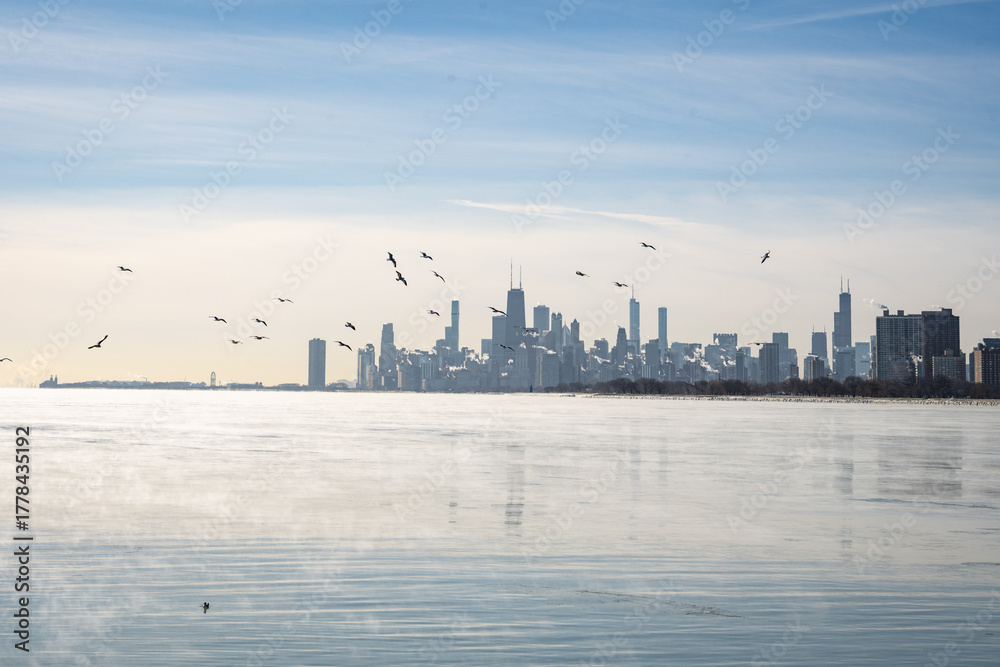 Fototapeta premium Chicago Winter Skyline from Montrose Harbor Point