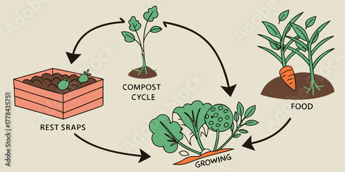 Understand the amazing journey of food from kitchen scraps to garden harvest with this clear compost cycle illustration