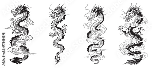 Intricate dragon illustrations perfect for tattoo design or fantasy themed artwork