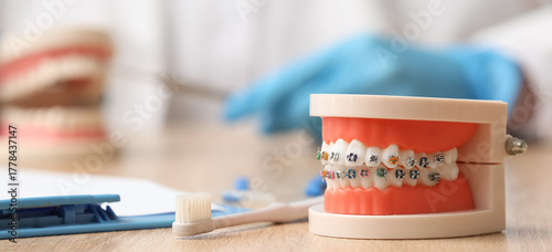 Artificial jaw with toothbr...
