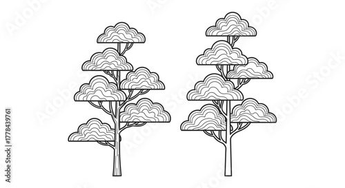 Simple black and white illustration of two stylized coniferous trees