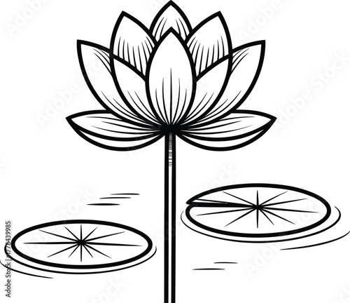 Elegant hand drawn lotus flower with lily pads on water surface