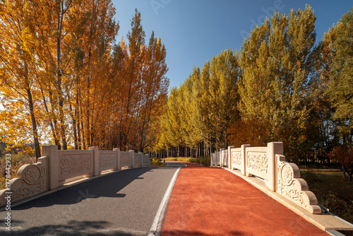 A vibrant forest walkway winding through autumn woods