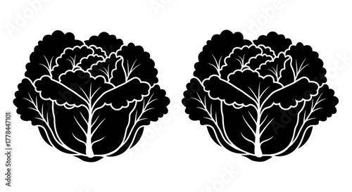 Two black and white illustrations of napa cabbage heads side by side