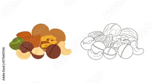 A colorful and monochrome illustration of various nuts and seeds