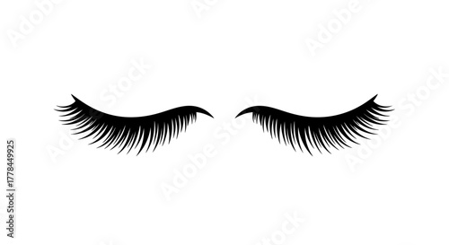 A pair of elegant long black eyelashes on a white background