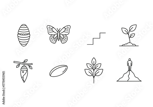 Eight black and white line art icons illustrating stages of metamorphosis growth and achievement