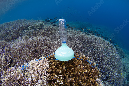 A scientific device that captures coral gametes is set up on a healthy reef at Banda Neira, in the remote Spice Islands of Indonesia. This beautiful region harbors extraordinary marine biodiversity.
