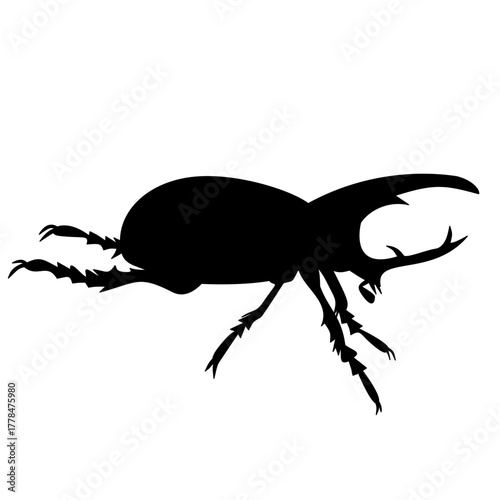 Rhinoceros Beetle Silhouette 