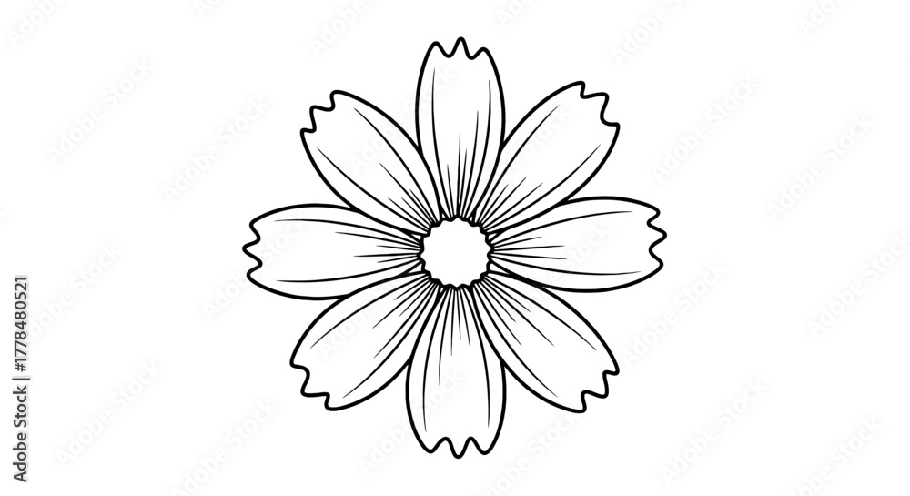 Obraz premium Isolated flower outline drawing floral design element blossom art