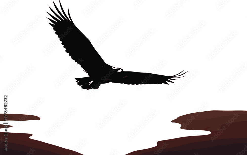 Obraz premium Eagle silhouette over canyon, flying bird in desert landscape, majestic raptor, nature freedom scene, wildlife vector illustration, sunset view