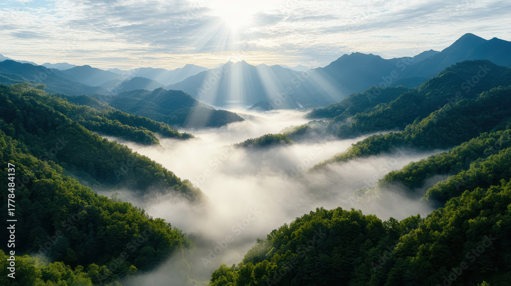 Obraz premium Majestic mountain valley shrouded in morning mist, sunlight beams illuminating landscape