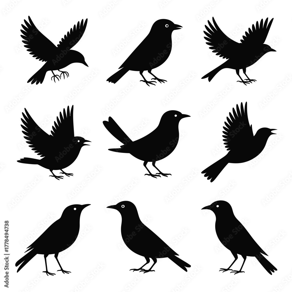 Obraz premium Collection of black bird silhouettes in various poses and flight