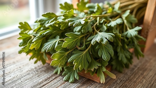 tolerable. Close-up of dried lovage leaves on a wooden rack with natural morning light. gardening catalogs, home-decor guides, designed for home decor and floral branding, used by sports marketers.