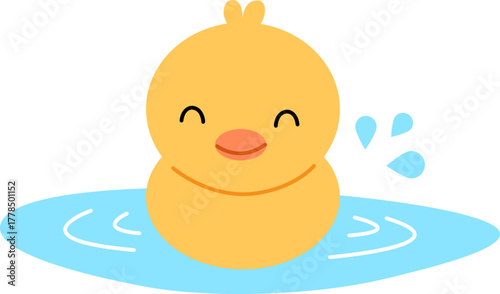 Cute Duck Floating On The Water