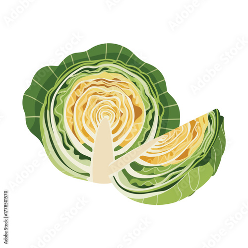 Fresh green cabbage cut in half with a slice