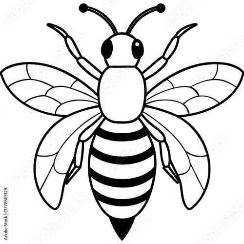 Black and White Drawing of a Bee Insect with Wings and Stripes