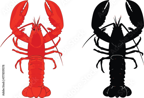 Red and black silhouette of a lobster on white background