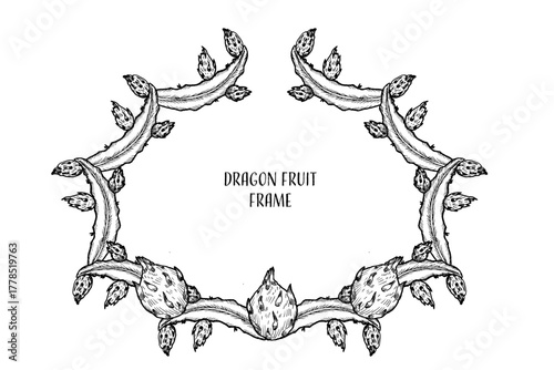 Hand drawn dragon fruit frame with space for text. Food decorative background with tropical exotic fruit. Ink drawing pitahaya frame for packaging design, fabric, textile, wrapping paper. Vintage art.