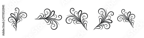 Floral style background with text space area. Set of different flowers, brunch and frames from flat editable stroke. Luxury line floral collection for wedding invitation art, design. Botanical