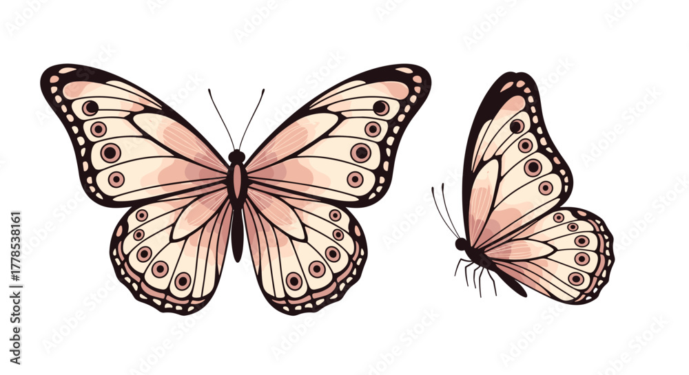 Fototapeta premium An elegant illustration depicting two delicate butterflies with light pink wings and intricate patterns against a clean white background.