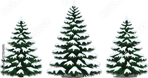 Snow-covered evergreen trees, winter forest scene, seasonal nature illustration, pine tree design, holiday landscape, snowy branches, vector art, cold weather, Christmas theme