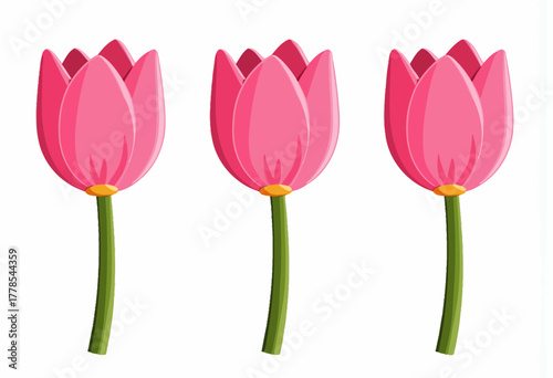 Vibrant Display of Three Strikingly Pink Tulips with Fresh Green Stems, Exemplifying Natural Beauty and Grace Against a Pristine White Background