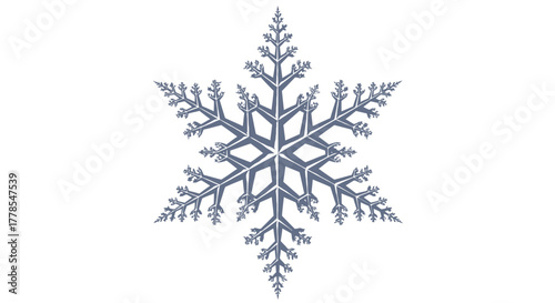 Vector Illustration of Snowflake Pattern, Nature, Isolated, Graphic, Top View, Winter Concept GALIH (116).eps