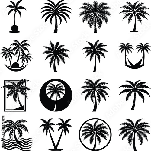 Tropical palm tree silhouette set vector  illustration on transparent background