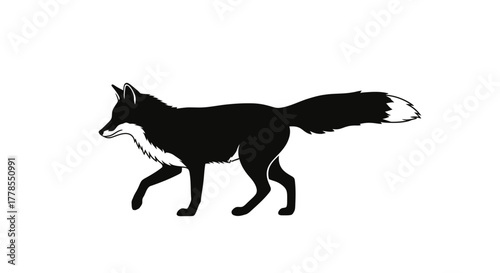 Black and white illustration of a fox walking, with a bushy tail and pointed ears.