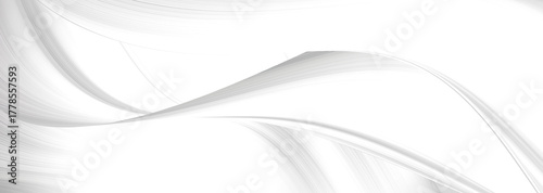 abstract white and silver are light pattern gray with the gradient is the with floor wall metal texture soft tech diagonal background black dark clean modern.